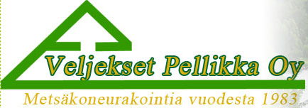 veljeksetpellikka.jpg